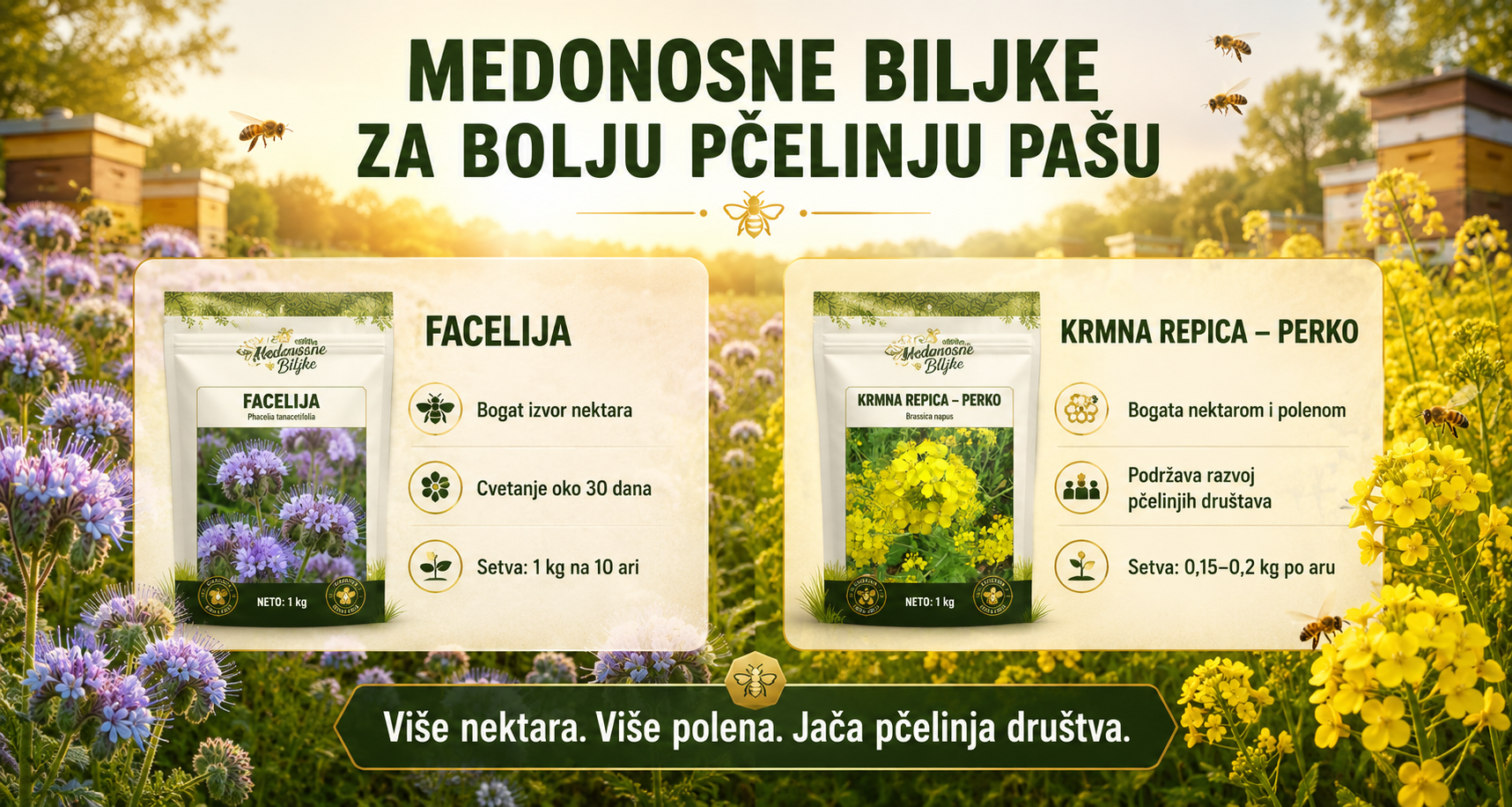 Medonosne biljke - Facelija i Perko
