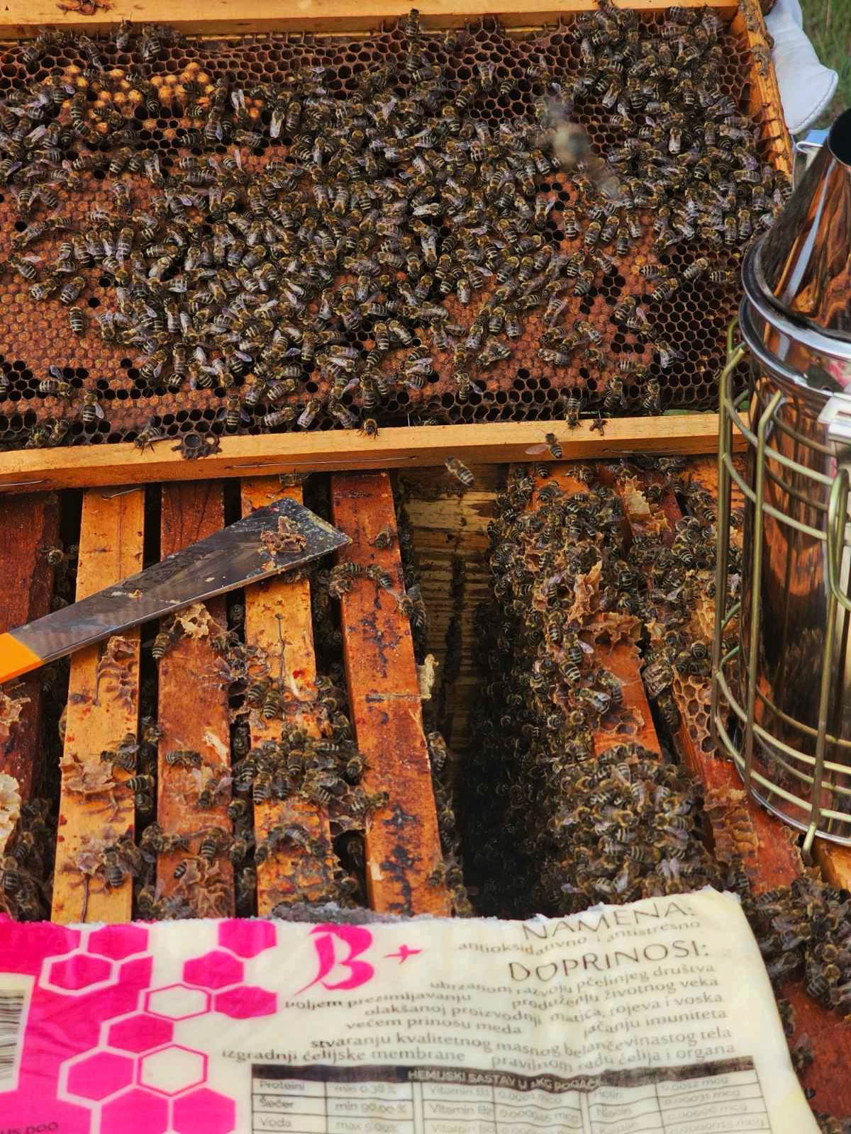 Dodavanje MEDICOHRAN E , i pregled pčelinjih zajednica