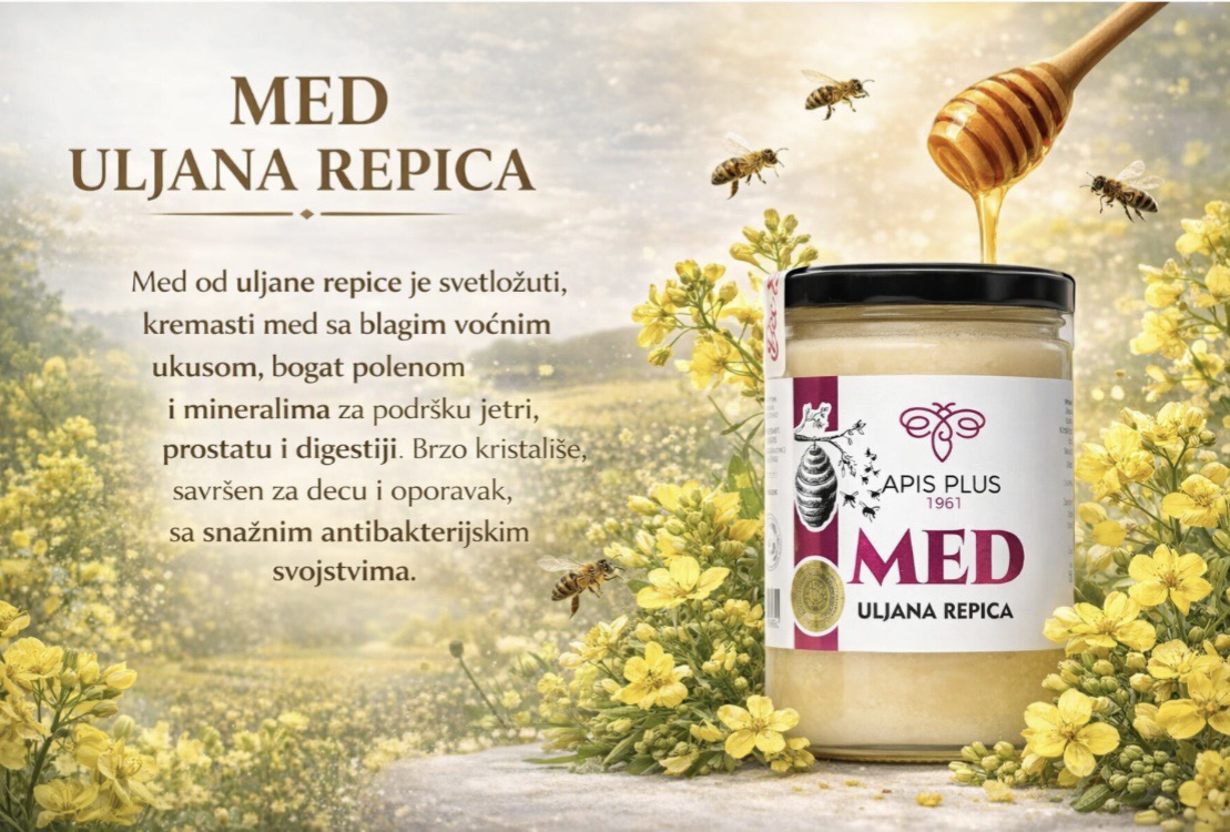 viber_image_2026-02-23_12-39-24-415